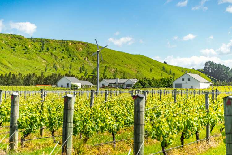 224 Te Muna Road Martinborough_14