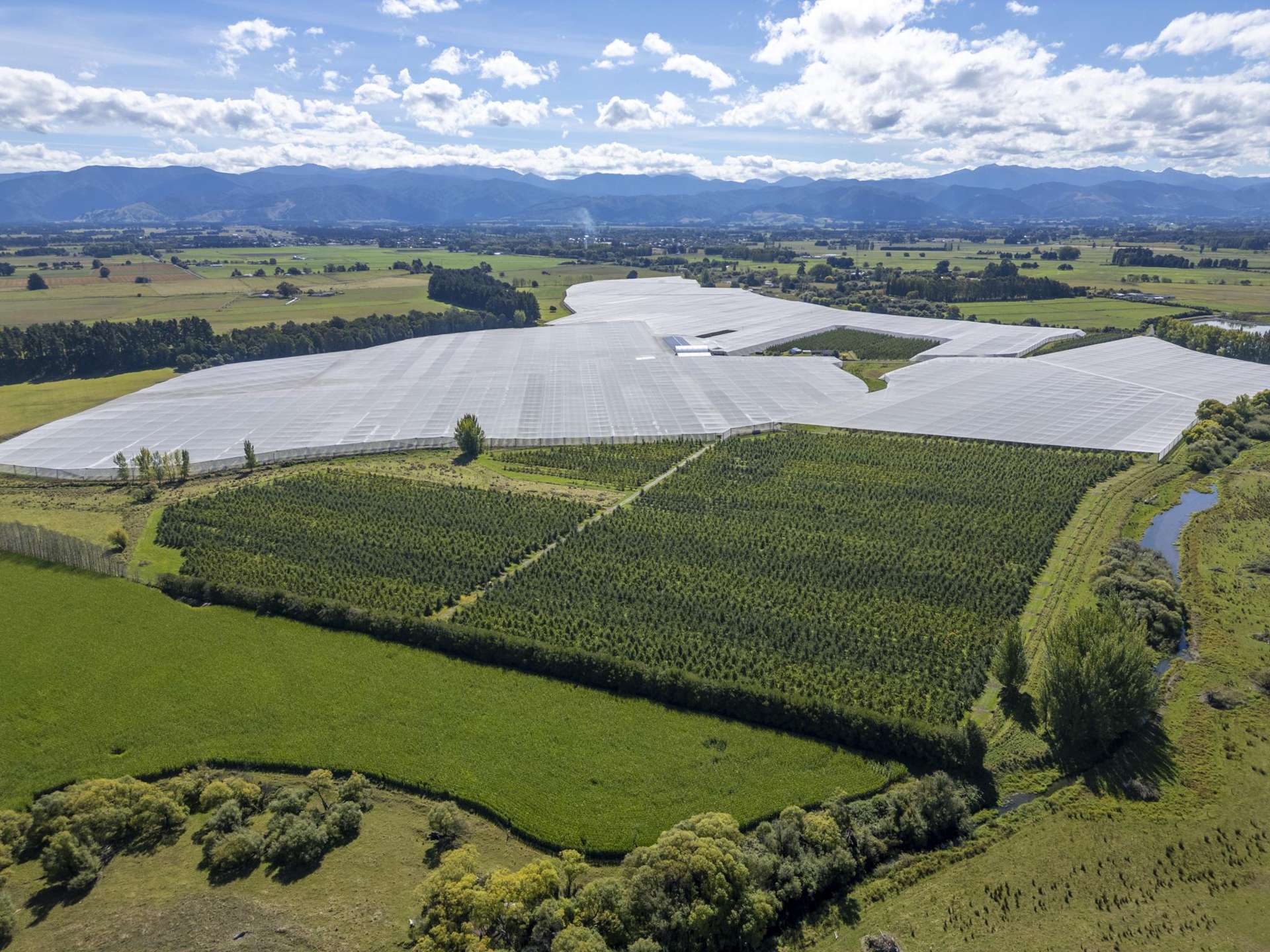 78 Gregs Lane, RD 1 Greytown_0