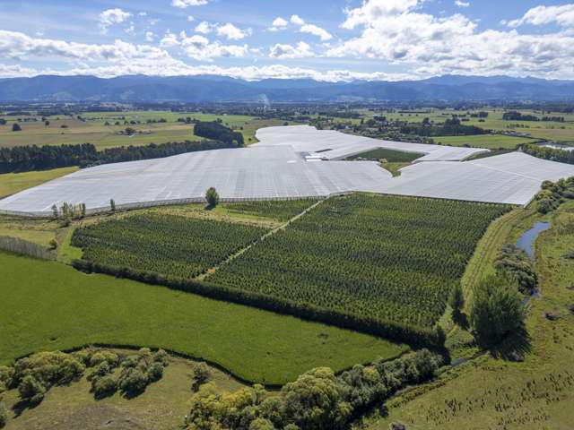 Royal Gala at Greytown