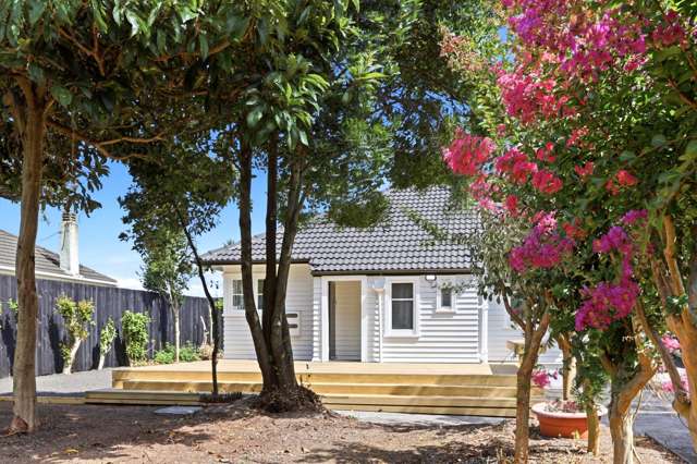 21 Vine Street Mangere East_2