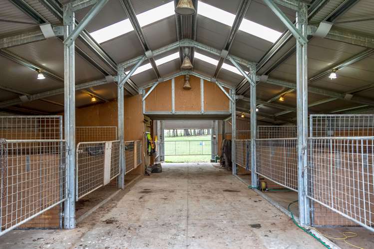 400 Mikimiki Road Mikimiki_9