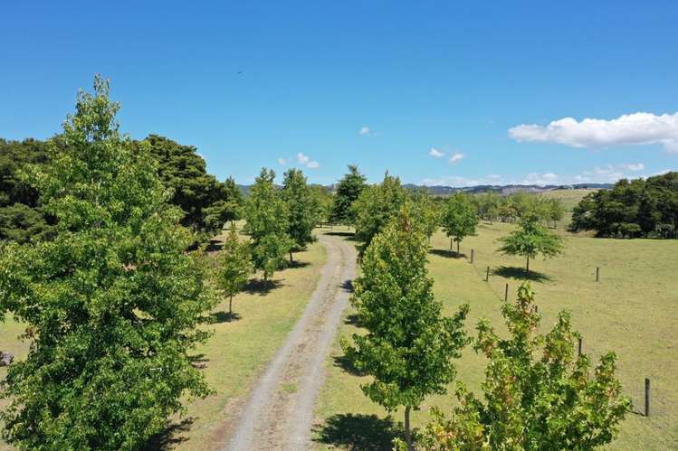 287 Mclean Road Waipu_8