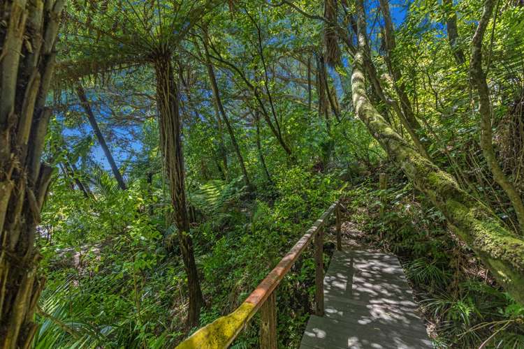 16 Pohutukawa Avenue Ohope_28