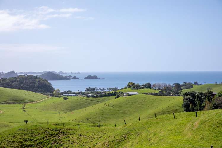Lot 1 Rockell Road Whananaki_24