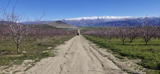 159 Thomson Gorge Road Cromwell_4