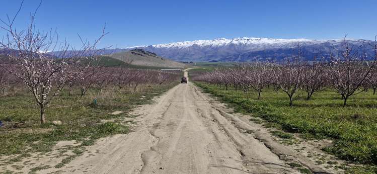 159 Thomson Gorge Road Cromwell_4