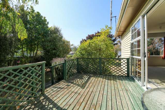 23 Horton Street Pleasant Point_4