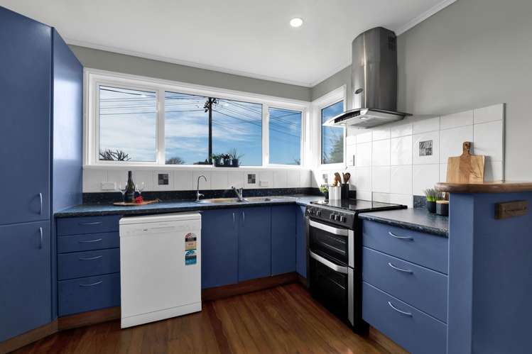 18 Drake Street Vogeltown_11