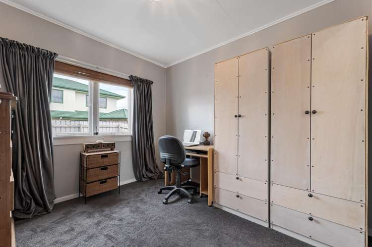 103A Parry Palm Avenue Waihi_11