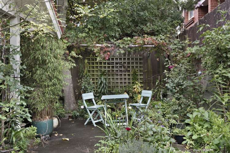 1 Thompson Street Mount Cook_15