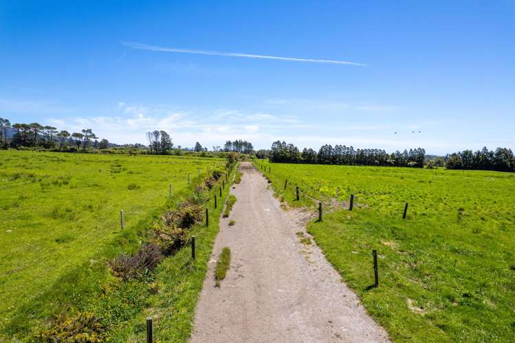 869 Dudley Road Upper Kaimiro_2