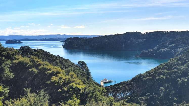 9 Woods Ridge Road Kawau Island_3