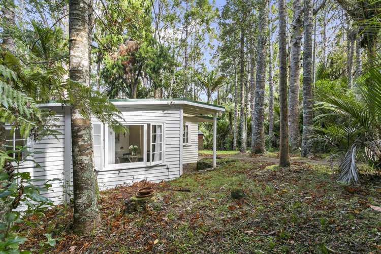 57 Otitori Bay Road Titirangi_13