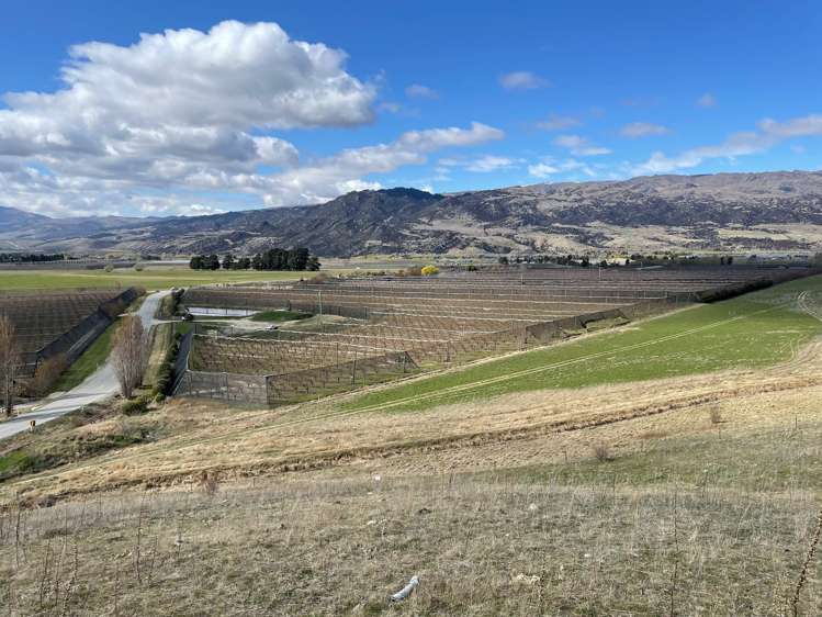 Mount Pisa Road Cromwell_14