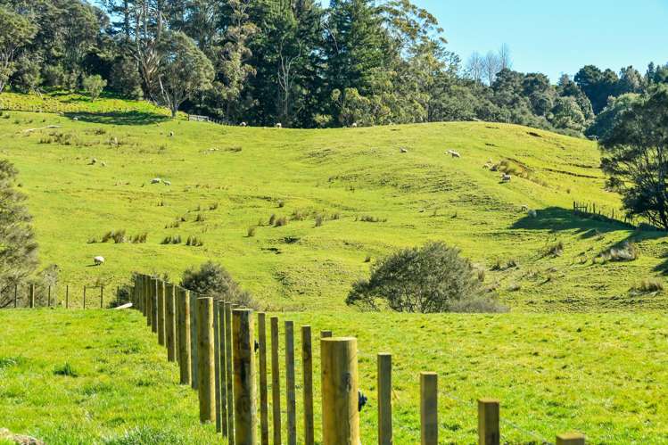 304 Paparimu Road Hunua_16