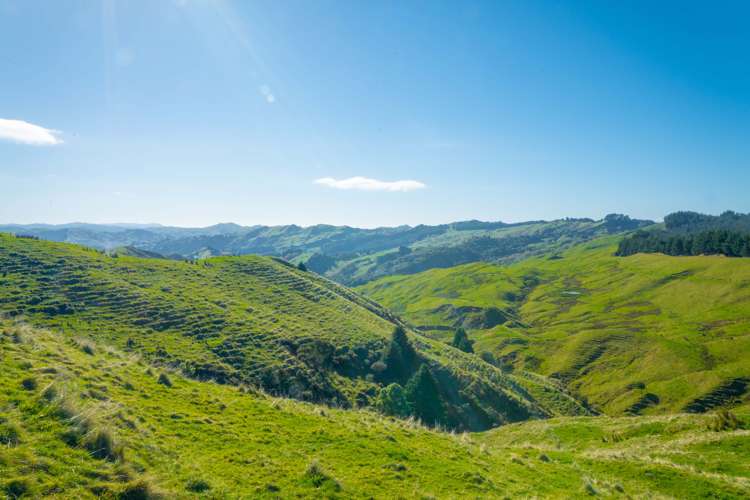 229 Rangikohua Road Tolaga Bay_21