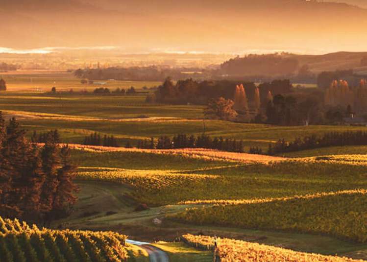 Address withheld Blenheim_4