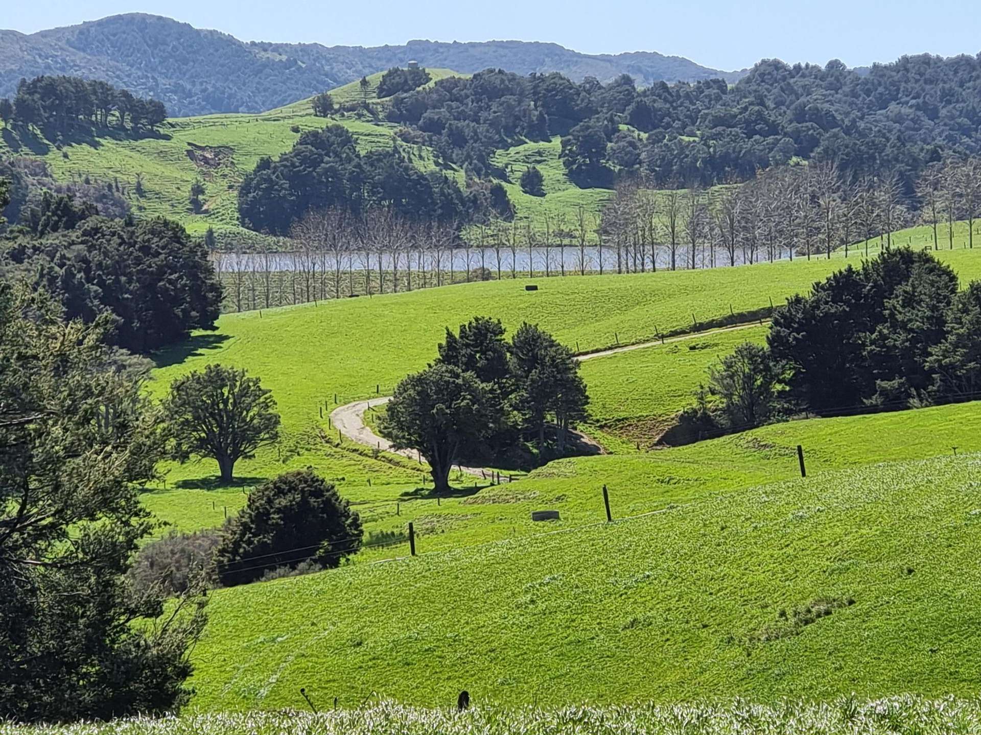 Lot 1-3 Millbrook Road Waipu_0