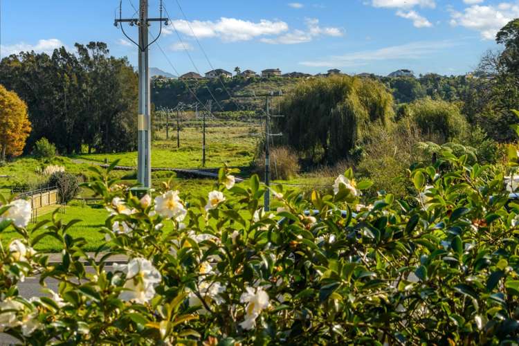 26 Graham Place Bellevue_7