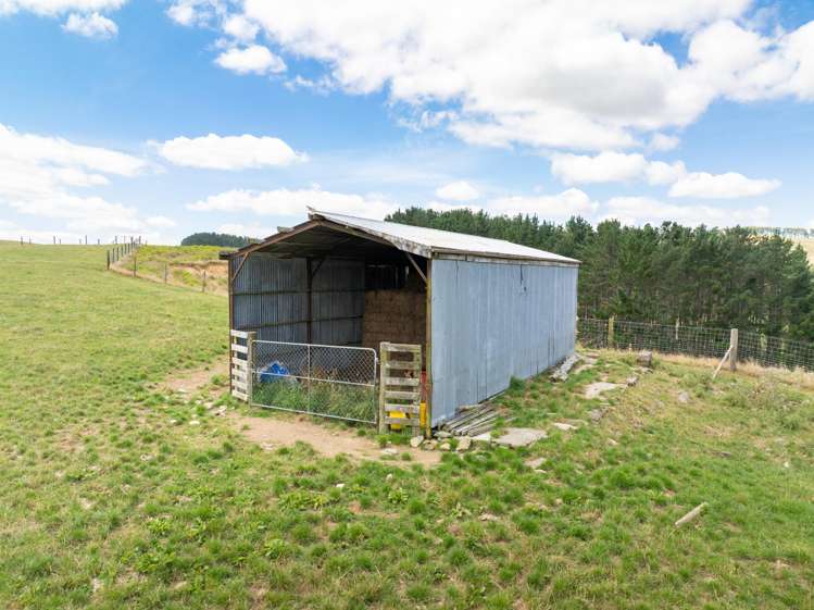 640 Brunskill Road Te Miro_8