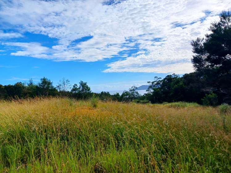 104 Stratford Drive Cable Bay_16