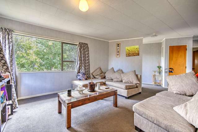 67 Dominion Road Nawton_3