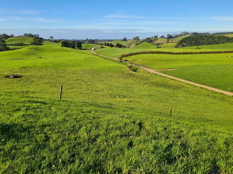 801 Mangorei Road Mangorei_10