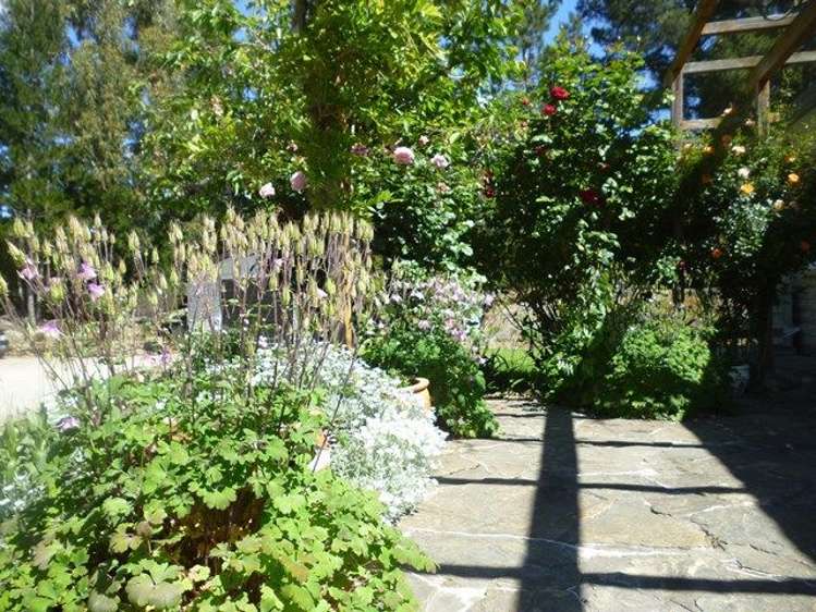 24 The Half Mile Alexandra_24