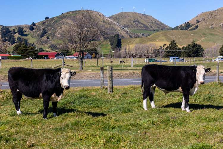 63 Tachalls Road Ward_23