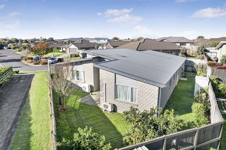 37 Ihimaera Terrace Leamington_2