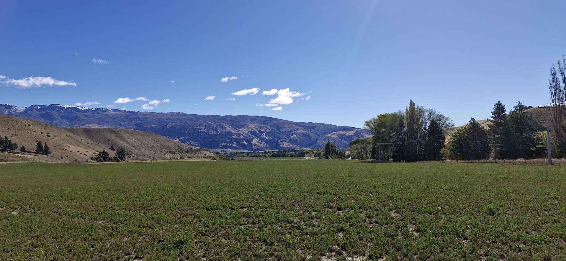 69 Thomson Gorge Road Tarras_0