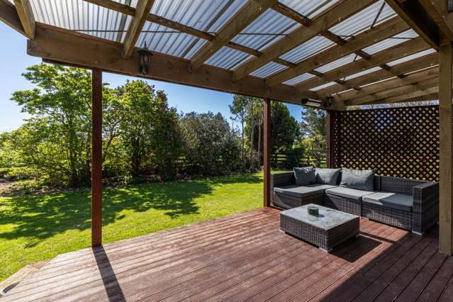 167 Richmond Road Clive_2