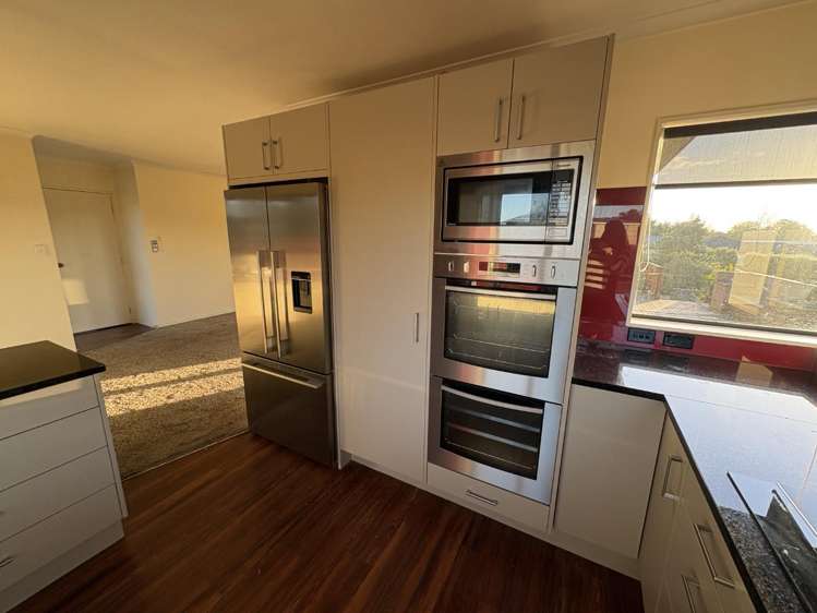 167 Bond Road Te Awamutu_5