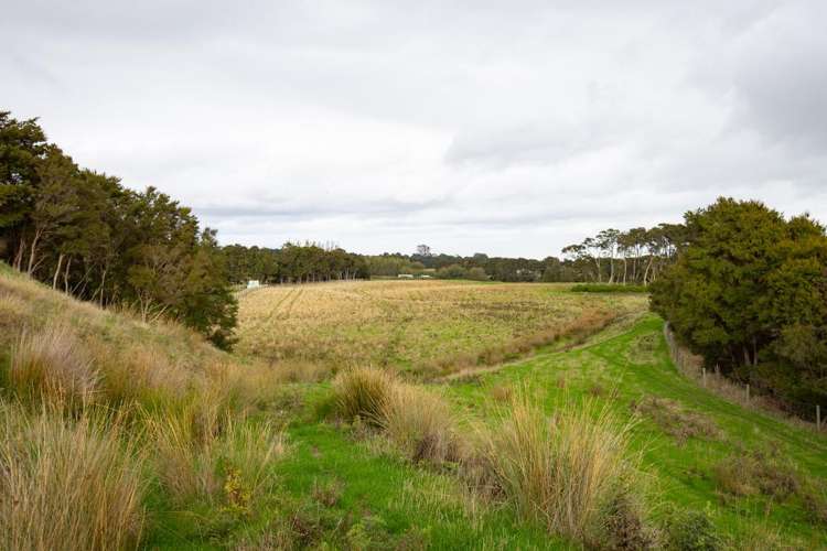 620 Taonui Road Colyton_11