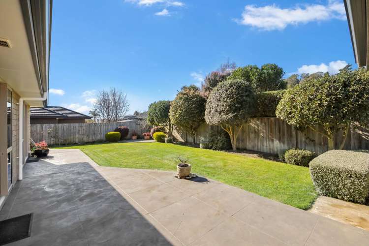 181 Taylor Pass Road Witherlea_18