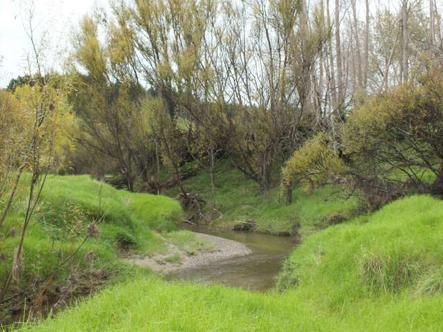 1884 Tangowahine Valley Road Dargaville Surrounds_3