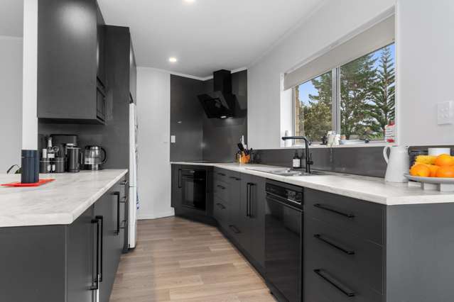 30 Meldrum Street Te Kamo_1
