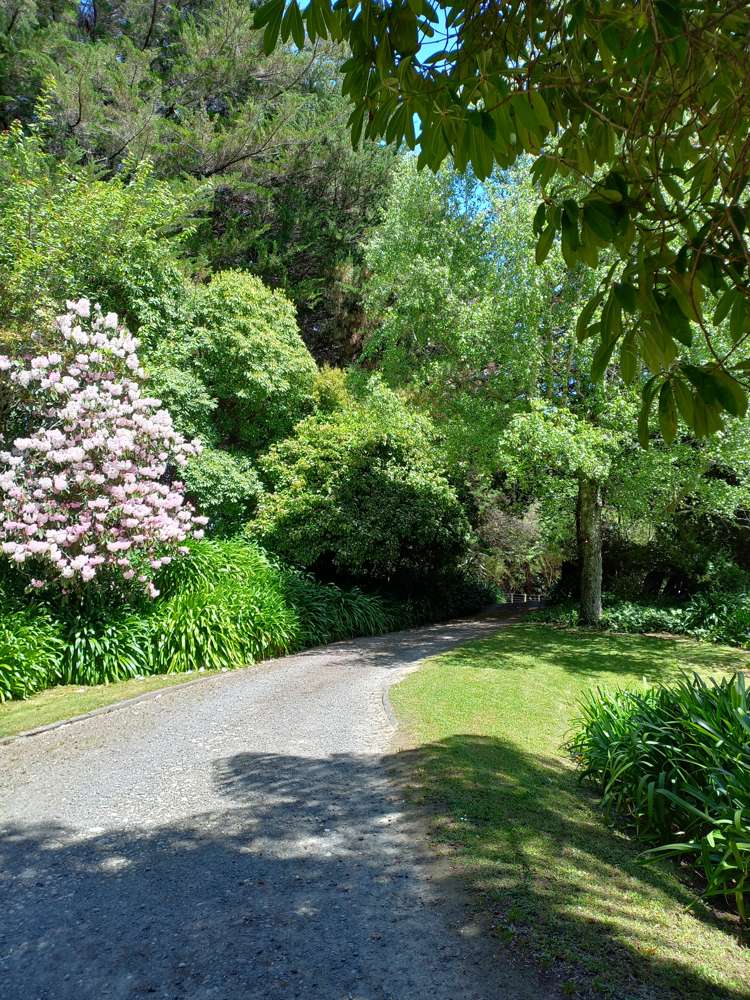 409 Hokoroa Road Tauwhareparae_6