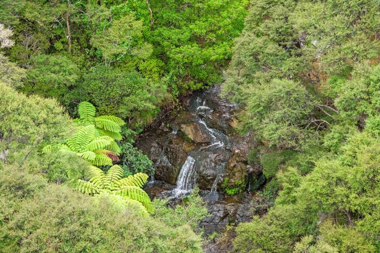 792 State Highway 1, Dome Valley Warkworth_23