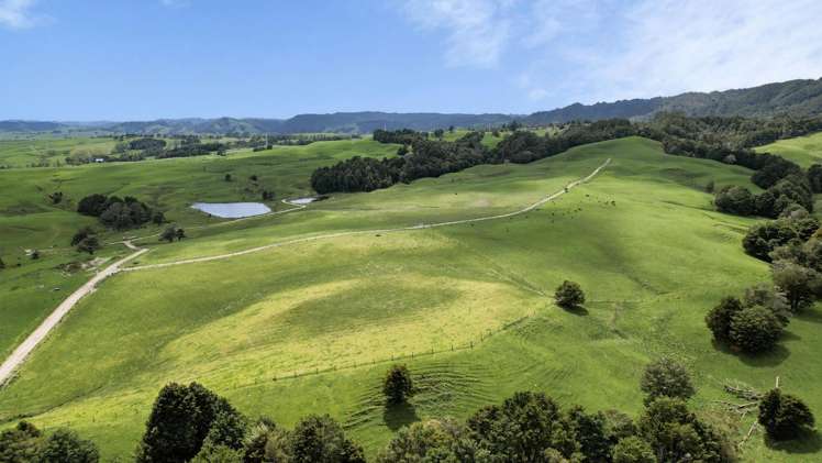 2051 Paparoa-Oakleigh Road Taipuha_7