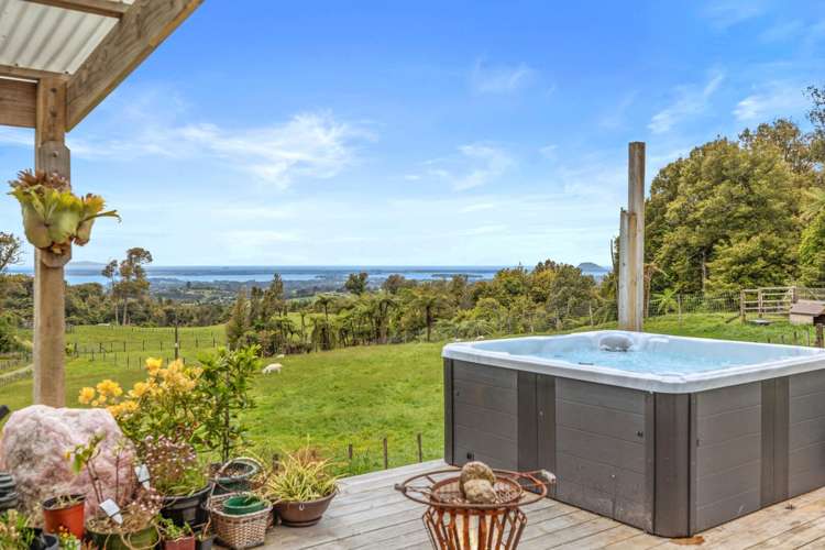 1039e Work Road Whakamarama_0