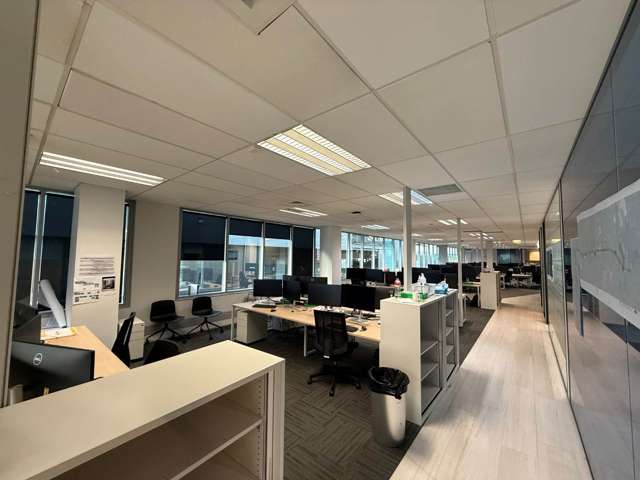 111 Carlton Gore Road Newmarket_3