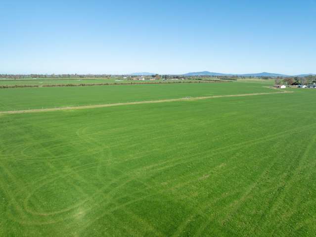 Maiseys Road Matamata_4
