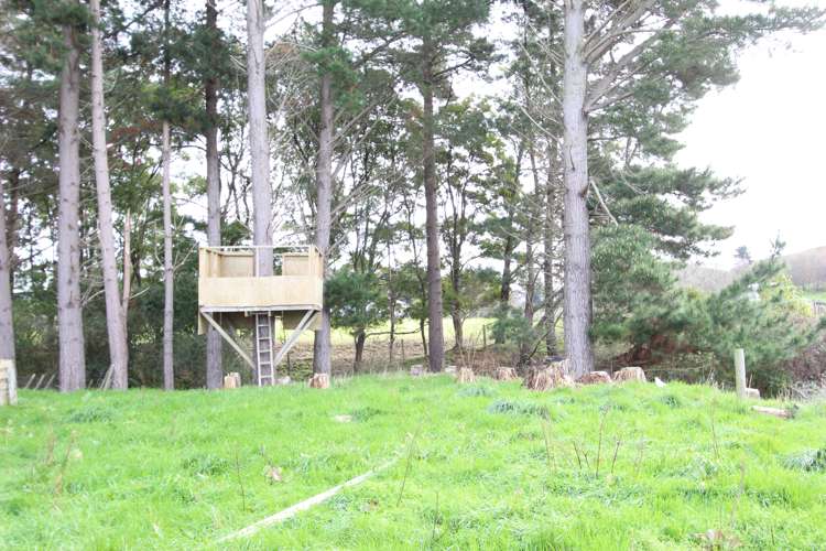 105 Thompsons Road Pahiatua_11