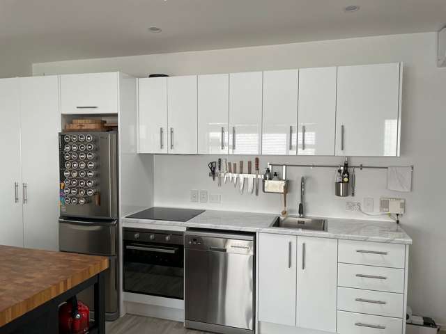 B3/15 Scanlan Street Grey Lynn_3