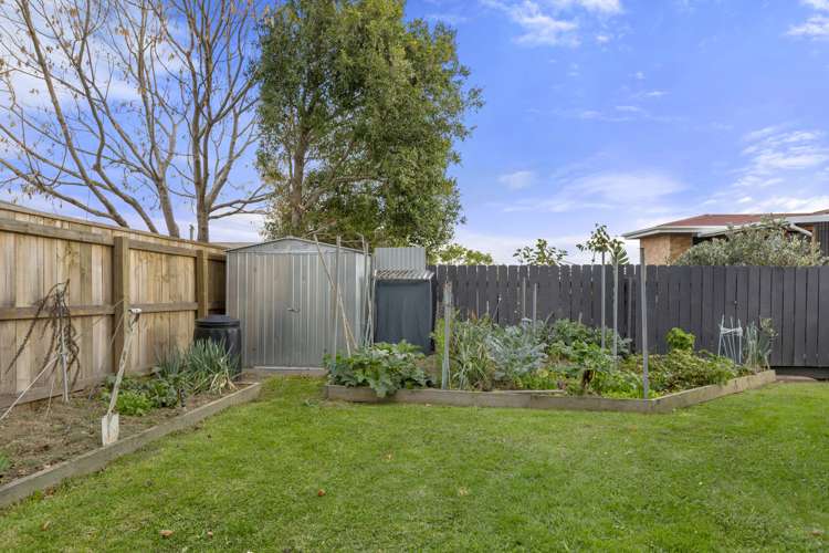 212 Waikiekie Road Thames_16