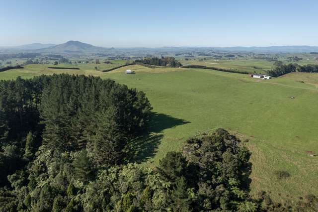 272 Ngutunui Road Puketotara_3