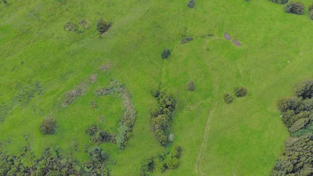 661a Omaunu Road Kaeo_3