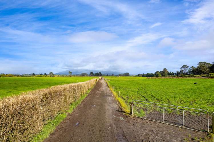 299 Cardiff Road Cardiff_3