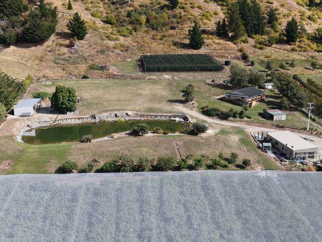 260 Ripponvale Road Cromwell_1